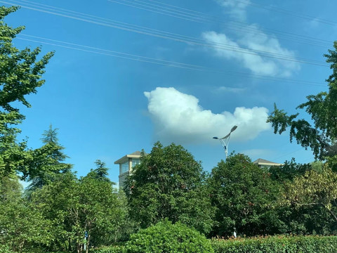 蓝天白云绿树