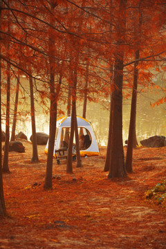 湖边树林帐篷