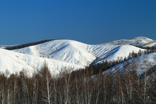 雪原山脉树林