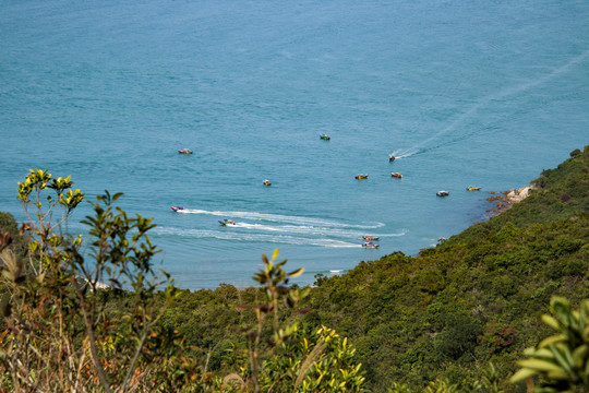 海洋岛屿