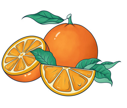 手绘橙子插画分层