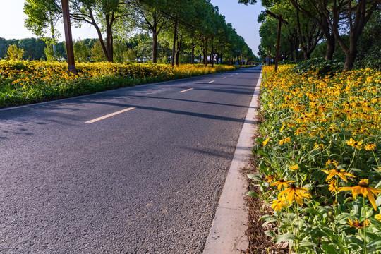 乡村道路