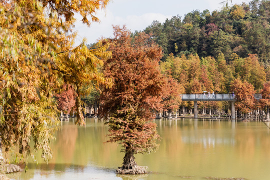 杭州青山湖国家森林公园
