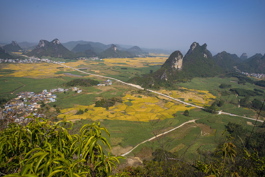 唯美风景希望田野