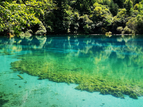 高山湖泊