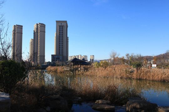 山海天湿地公园冬日风光