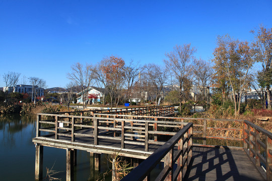 山海天湿地公园冬日风光