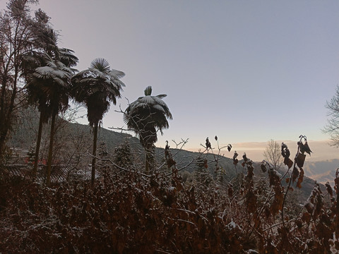 秋天的雪
