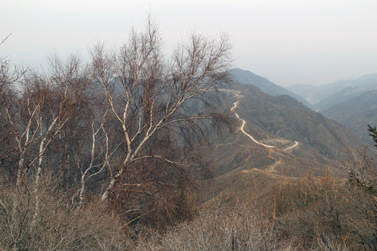 古北台北麓清源寺到兰若寺的路