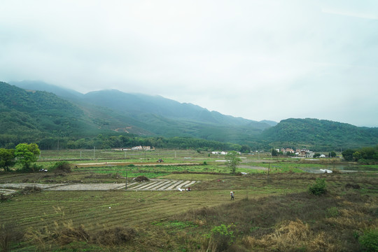 春天的田野