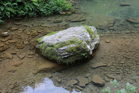小溪流中的岩石