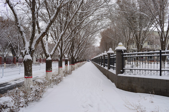 下雪啦