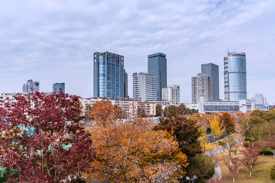 秋天中国南京CBD城市建筑风景