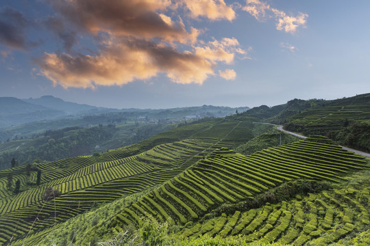 彩云山脉蜿蜒茶山自然风光