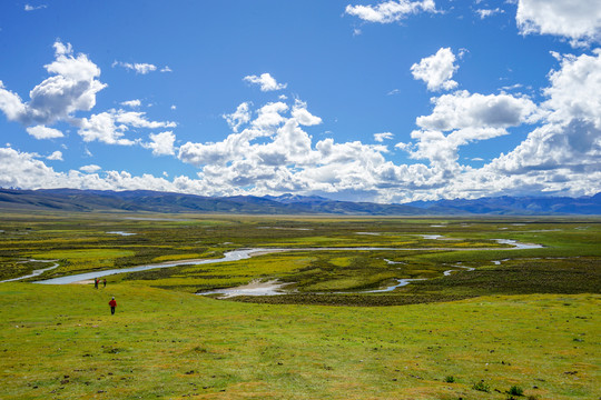 西藏湿地草原
