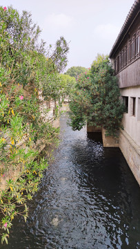 古镇河道风景