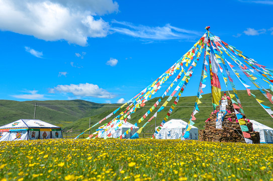 若尔盖草原蒙古包帐篷