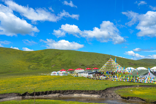 若尔盖草原蒙古包帐篷