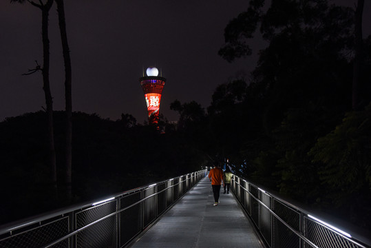 厦门山海健康步道狐尾山段夜景