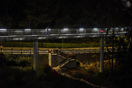 厦门山海健康步道狐尾山段夜景