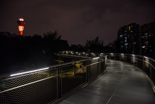 厦门山海健康步道狐尾山段夜景