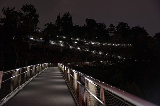 厦门山海健康步道狐尾山段夜景