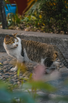 十堰般若寺