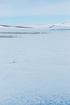 雪原树林