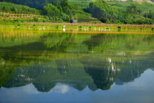 山水景观