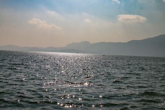 大海海面波光粼粼