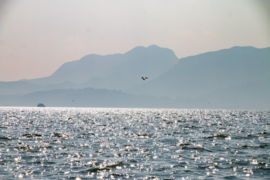 大海海面波光粼粼