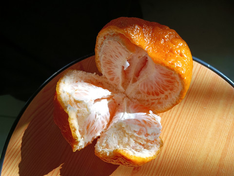 柑橘果肉