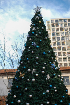 圣诞节室外大型圣诞树