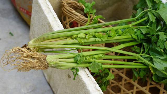 芹菜