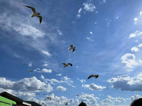 沿途风景天空