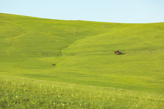 草原骑马飞奔