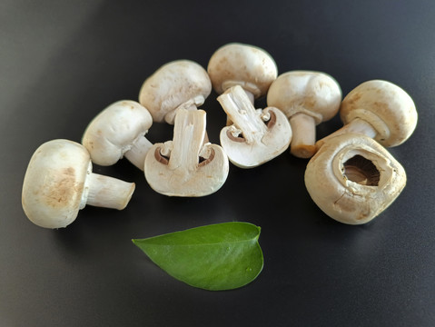 食材菌类白蘑菇