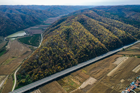 森林高速公路