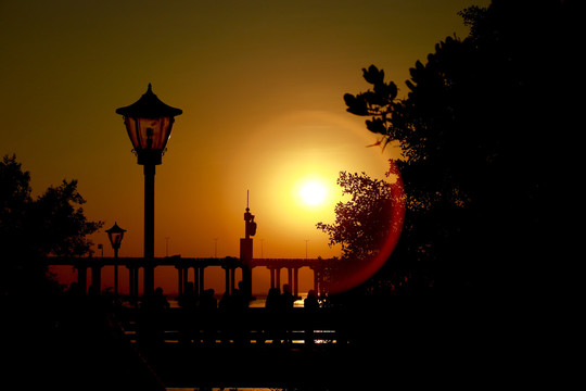 西湾红树林公园夕阳剪影