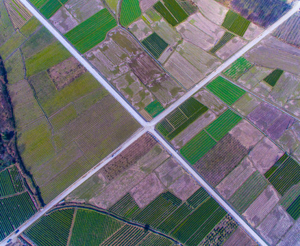 农田道路
