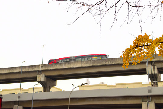 高架上的公交车