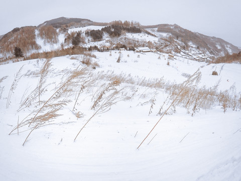 冬天雪乡雪景