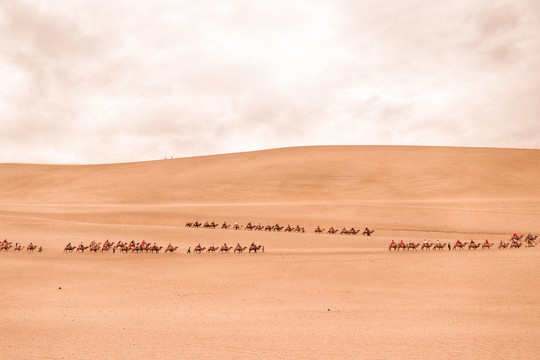沙漠骆驼商队