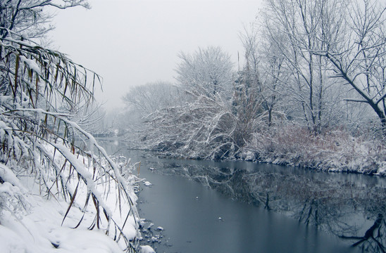 西溪雪景