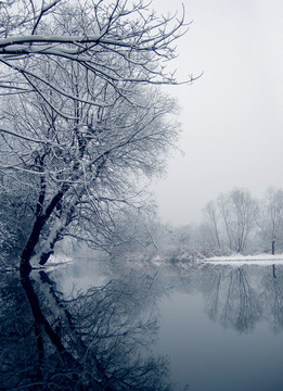 西溪雪景