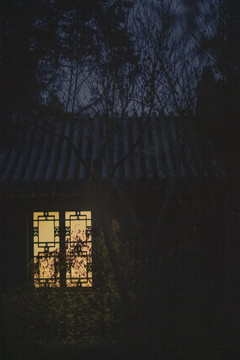 凌晨树丛后清华大学工字厅的灯光