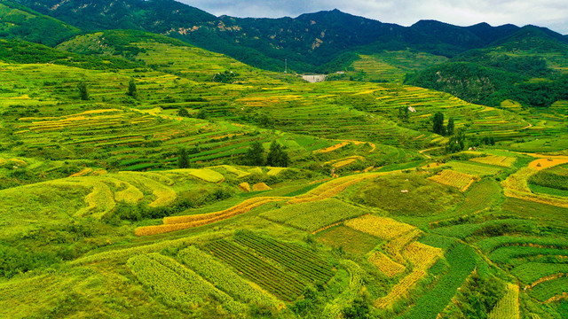 山区农田