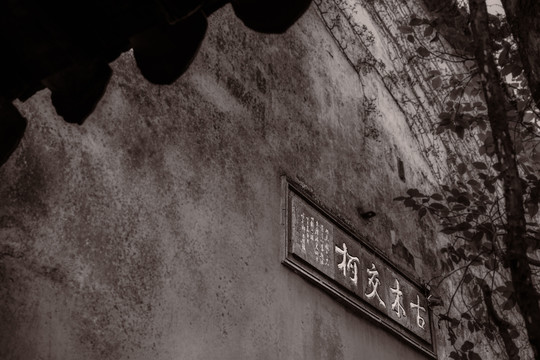 园林景观