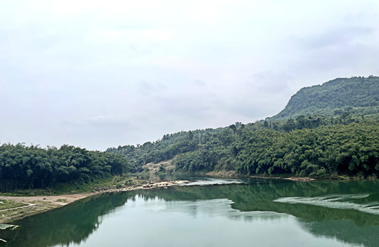 竹海风景