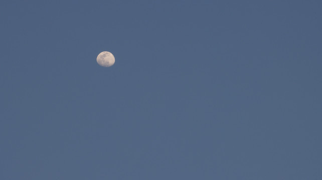 月亮高照